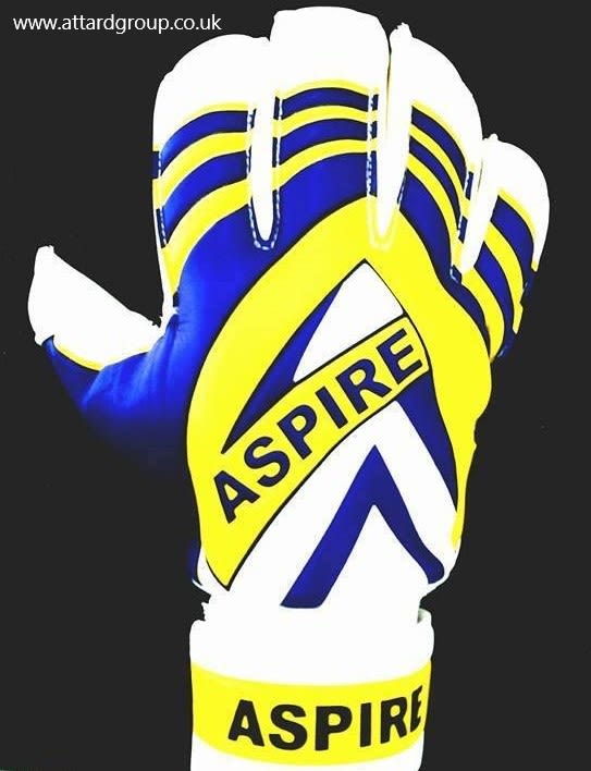 aspire goalkeeper gloves