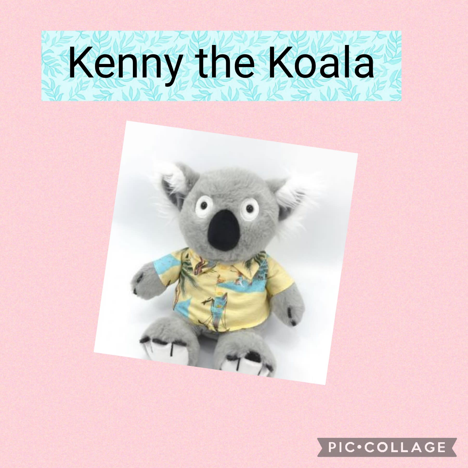 Kenny the koala store stuffed animal