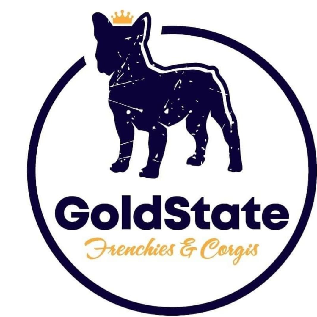 Gold State Frenchies And Corgis