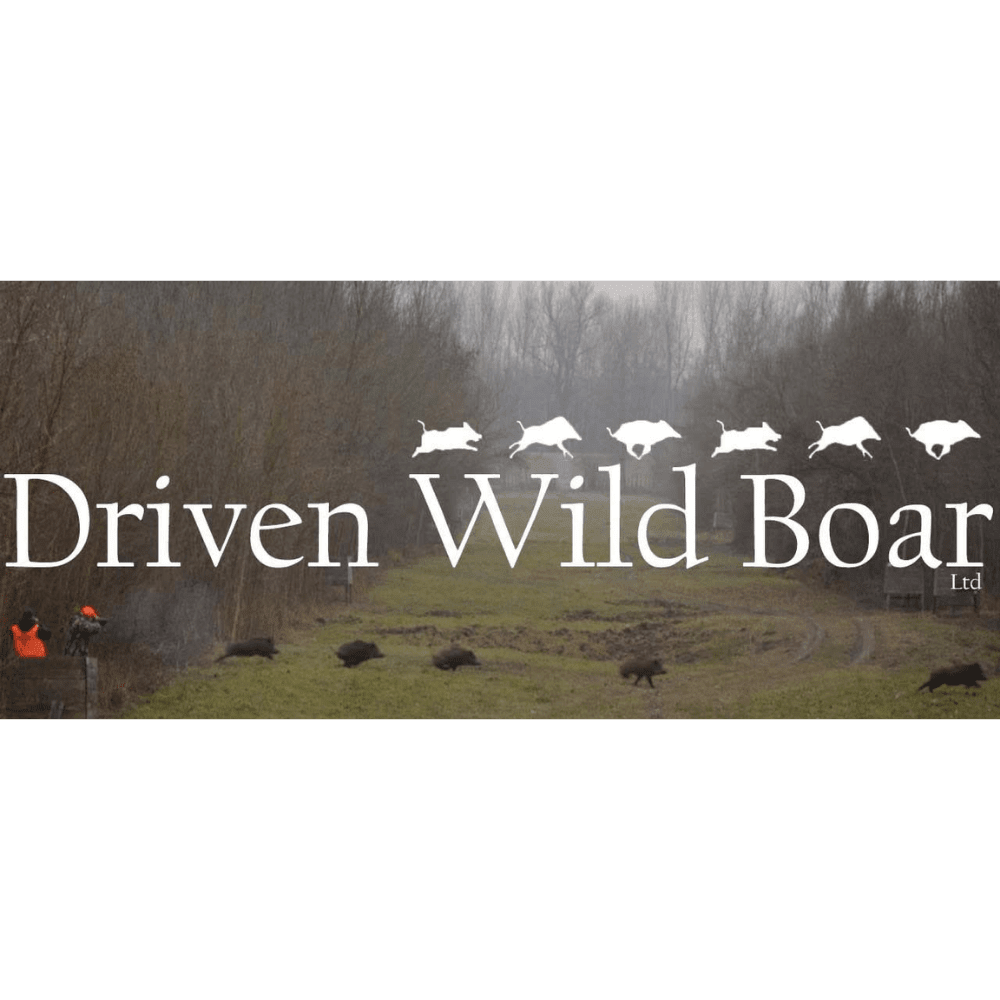 DRIVEN WILD BOAR