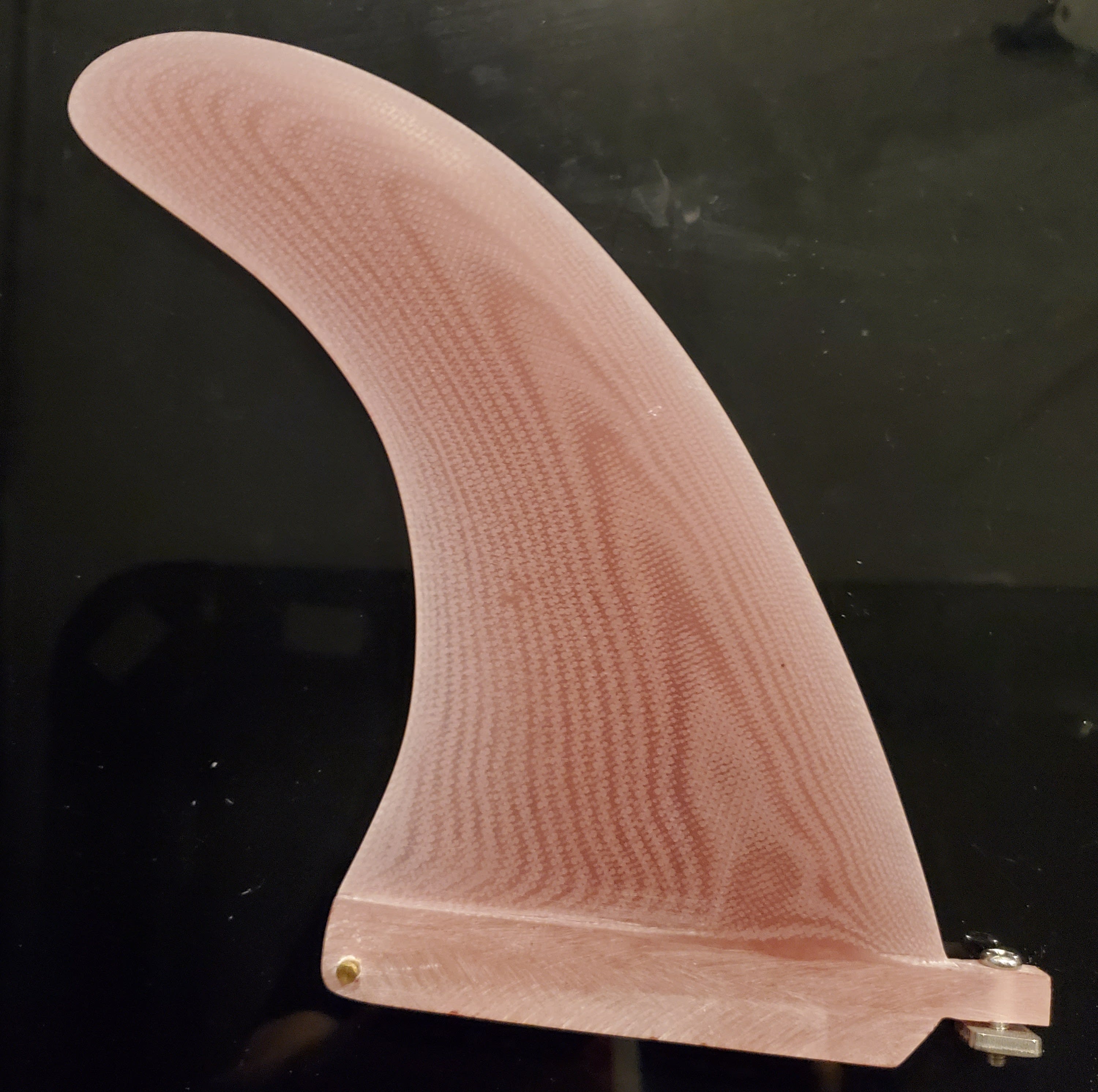 Rare Handshaped and signed Owl Chapman and glassed by the world's