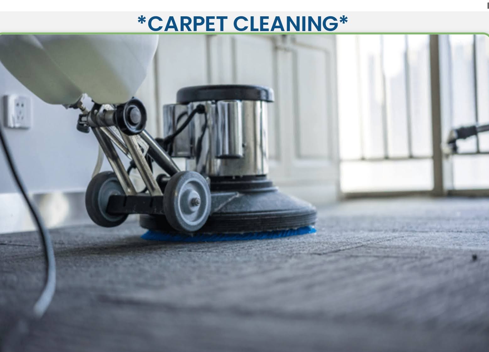 Carpet Cleaning Professional Cleaners Satisfied System