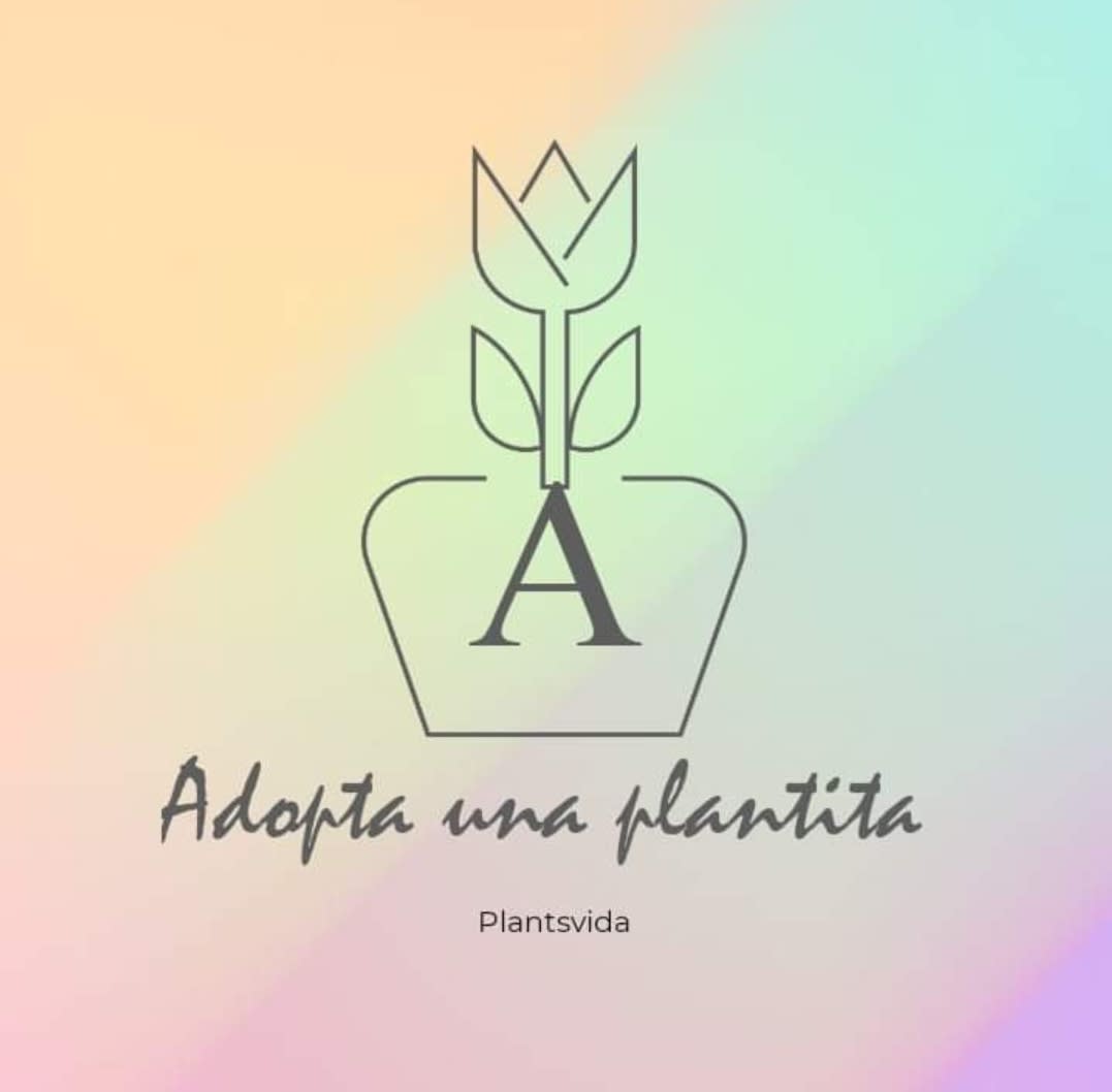 Adopta Una Plantita Plantsvida