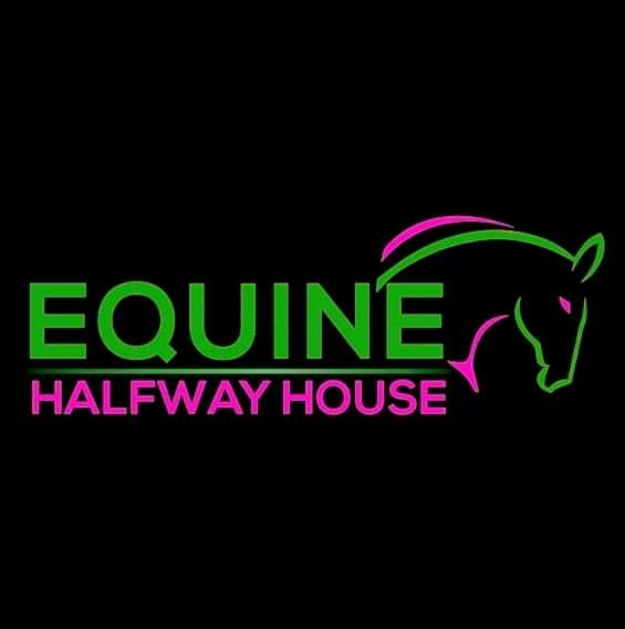 Equine Halfway House Pony Rescue and Refuge