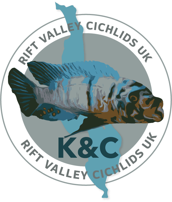 K&C Rift Valley Cichlids UK