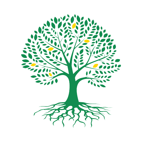 Seed to Tree