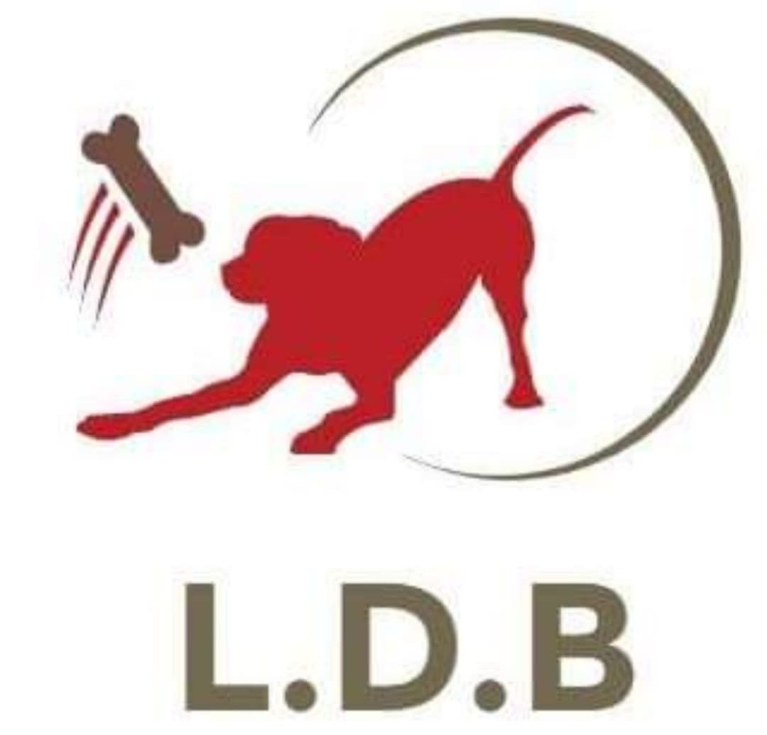 Lancashire Dog Behaviour Solutions