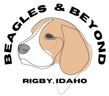 Beagles and Beyond, LLC