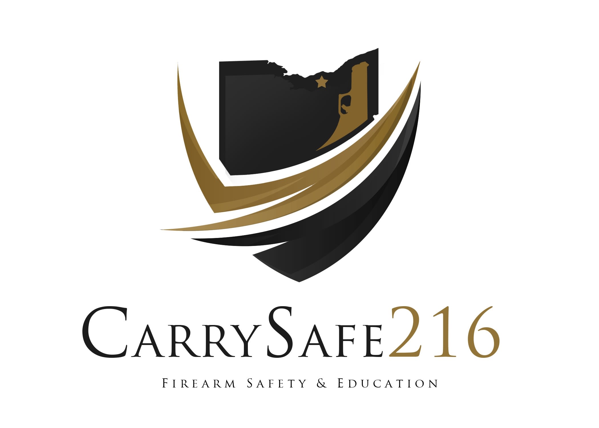 Carry Safe 216