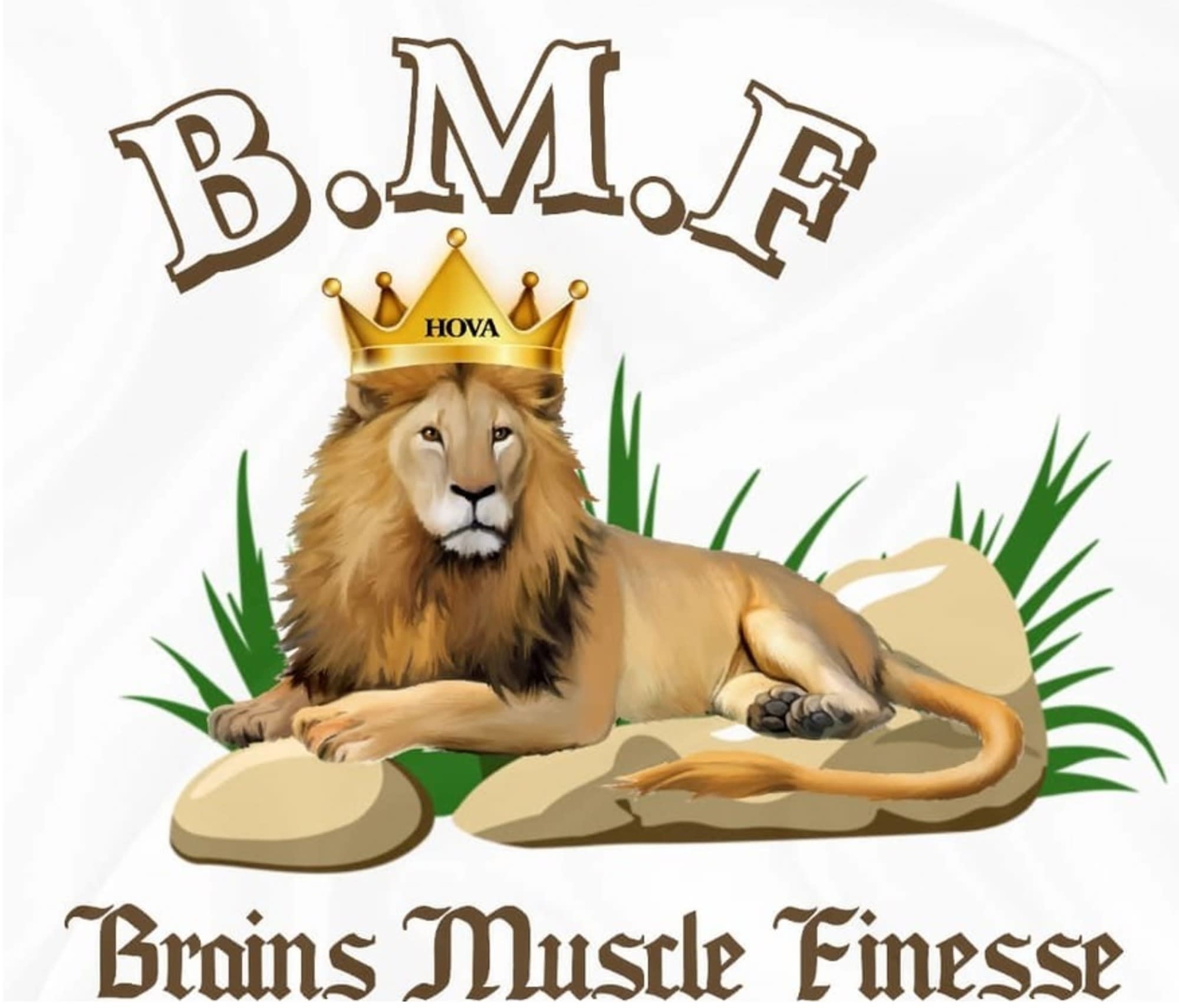 Brains Muscle Finesse LLC