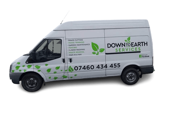 Down to Earth Services