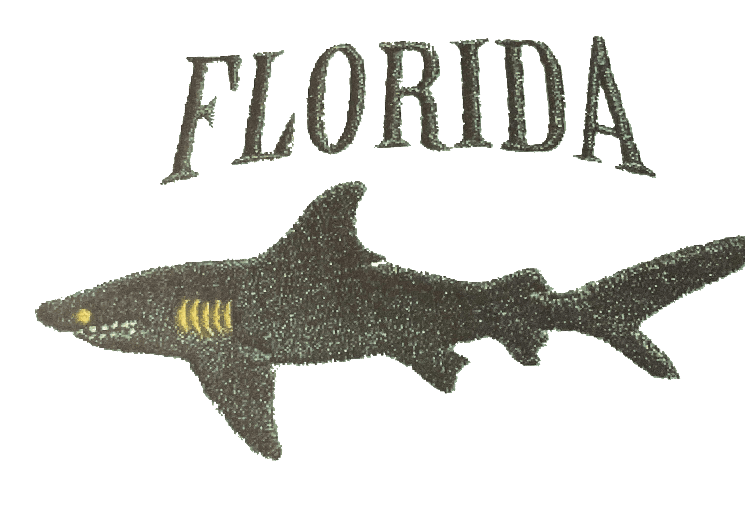 Wayne's Shark LLC