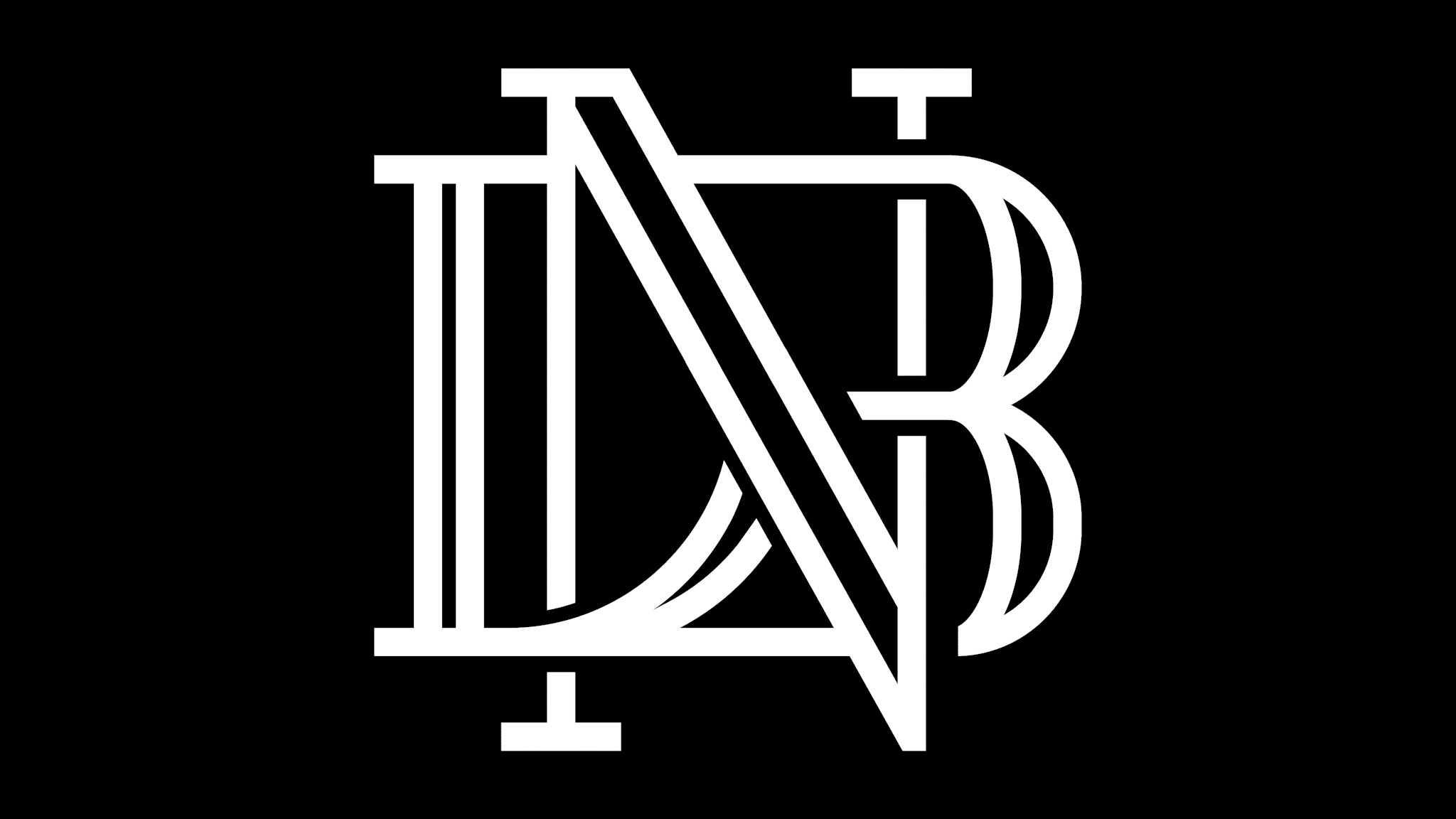 DN BRIDGES PHOTOGRAPHY, LLC