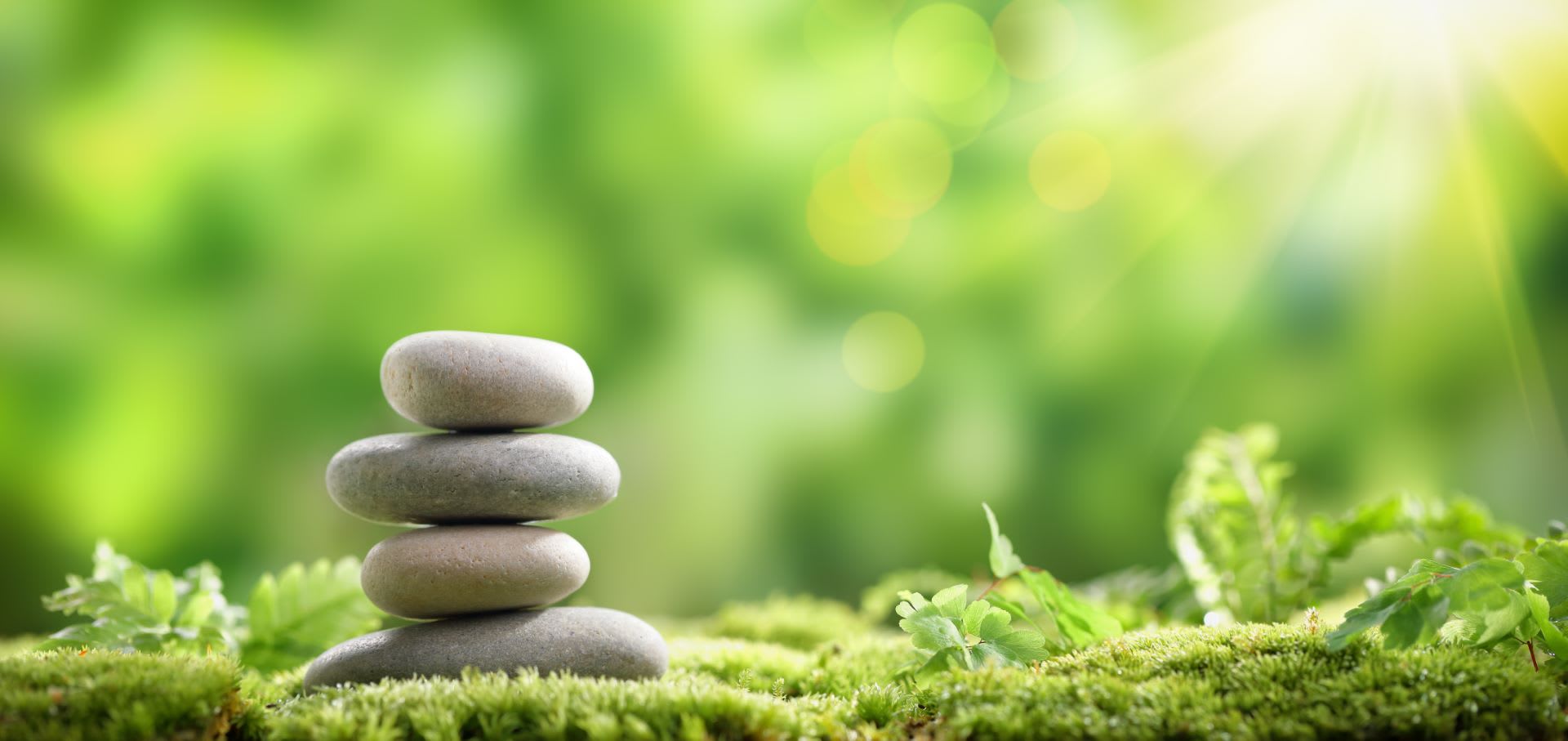 CSR Biofeedback Biofeedback Therapy Lexington