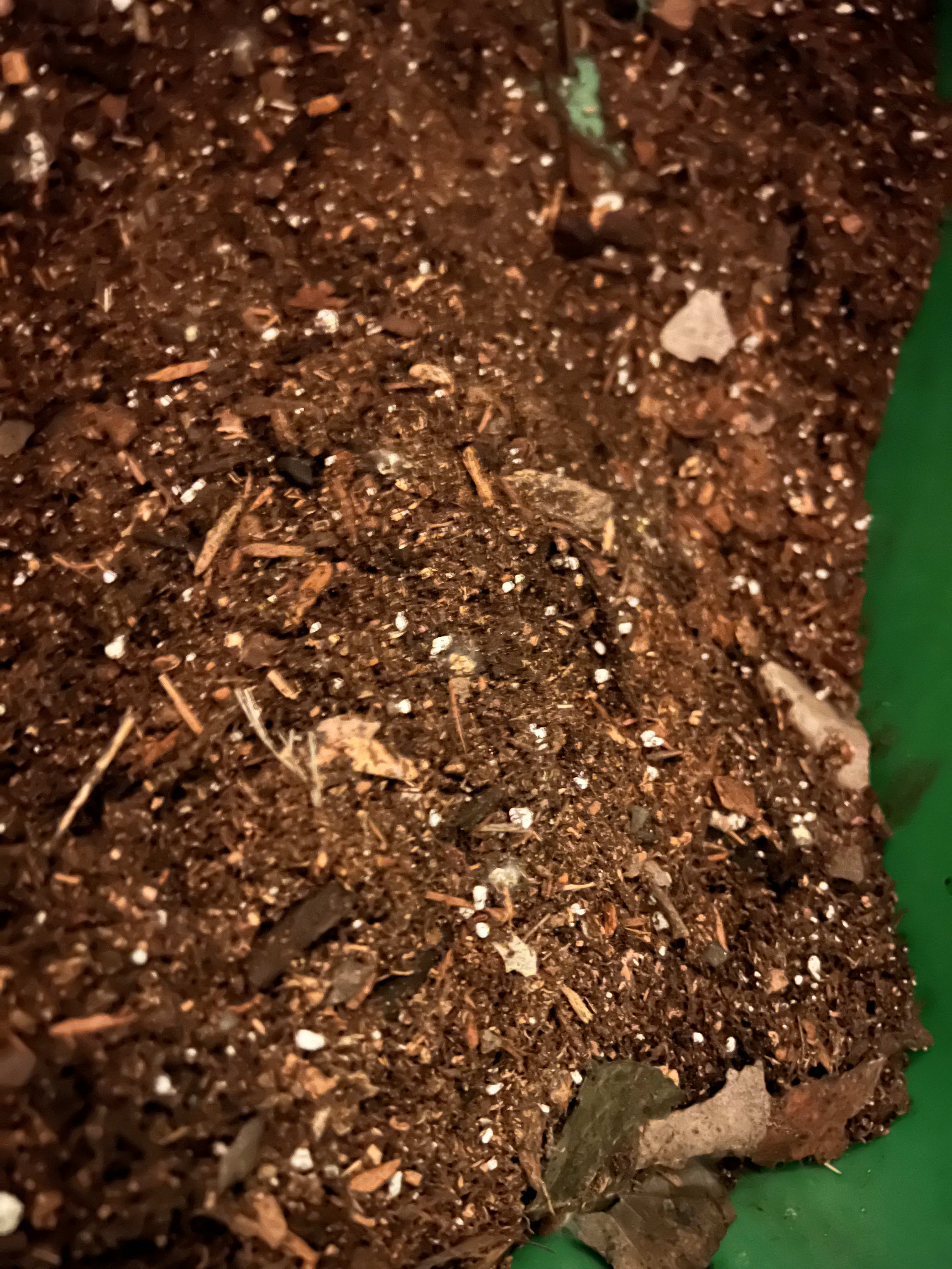 How To Make A Bioactive Substrate Mix (Recipe Guide)