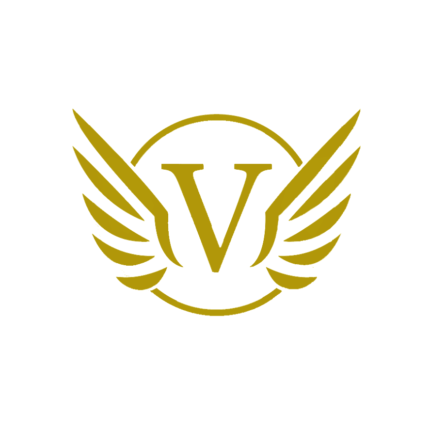 VANG COMMERCIAL INVESTMENTS LLC