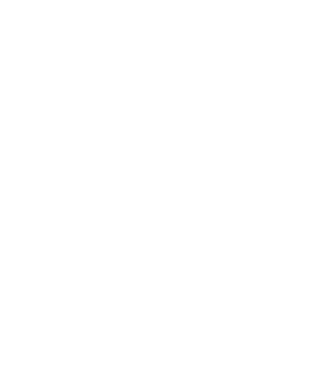 The Evolving Door Program Inc