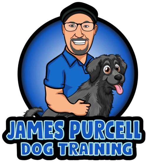 James Purcell Dog Training