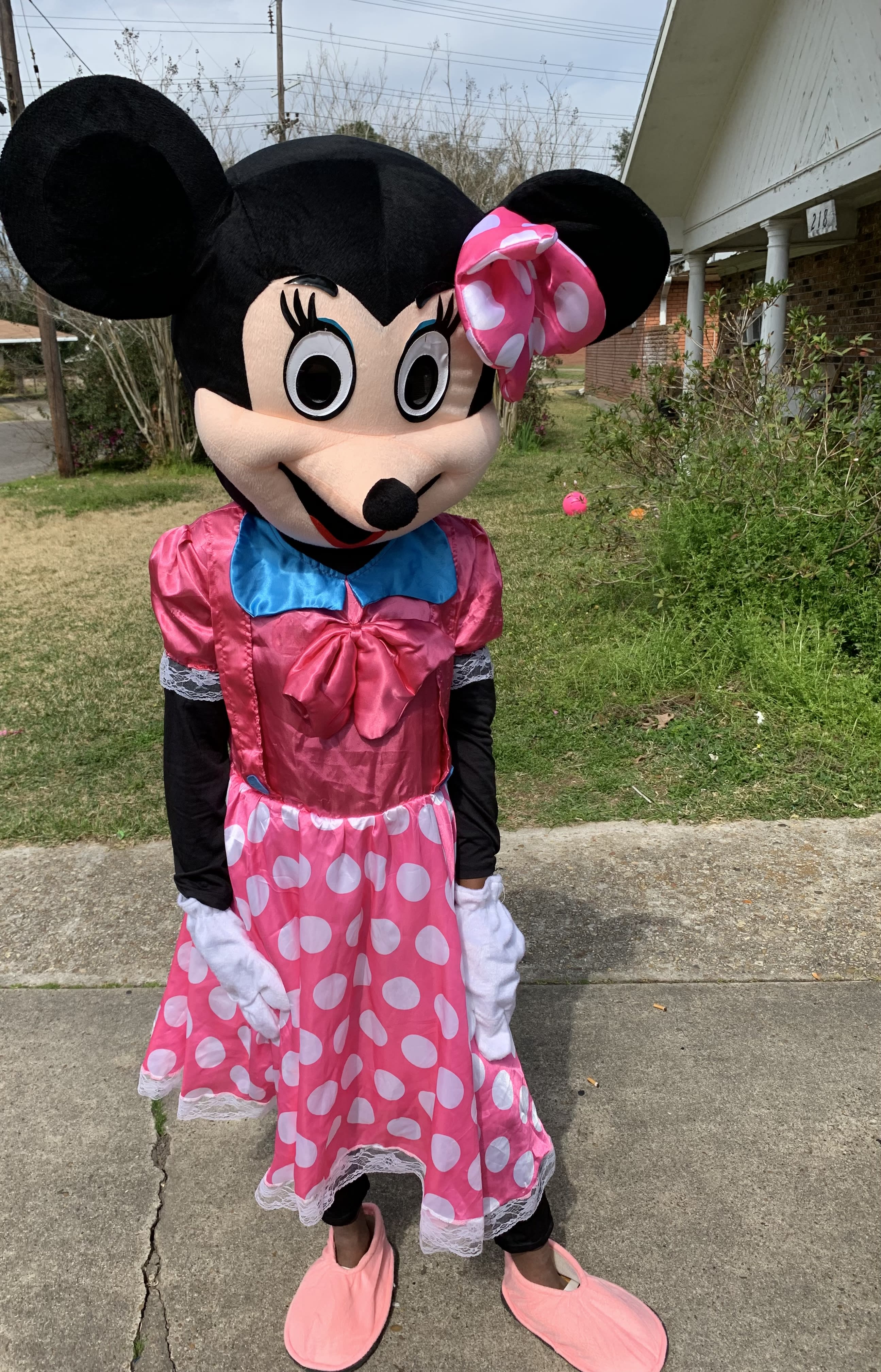 Minnie Mouse Character - Party Rentals - Missie’s Personalized Designs ...