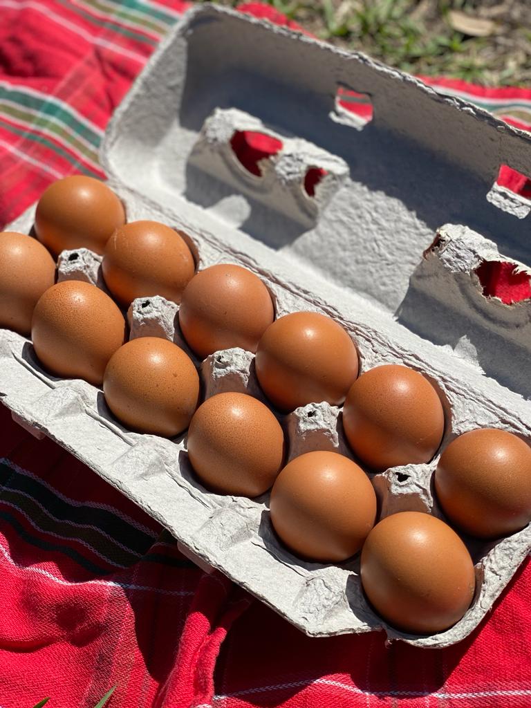 dark brown chicken eggs