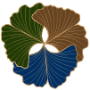Within Reach Psychotherapy