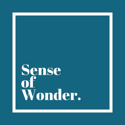 Sense of Wonder Gifts