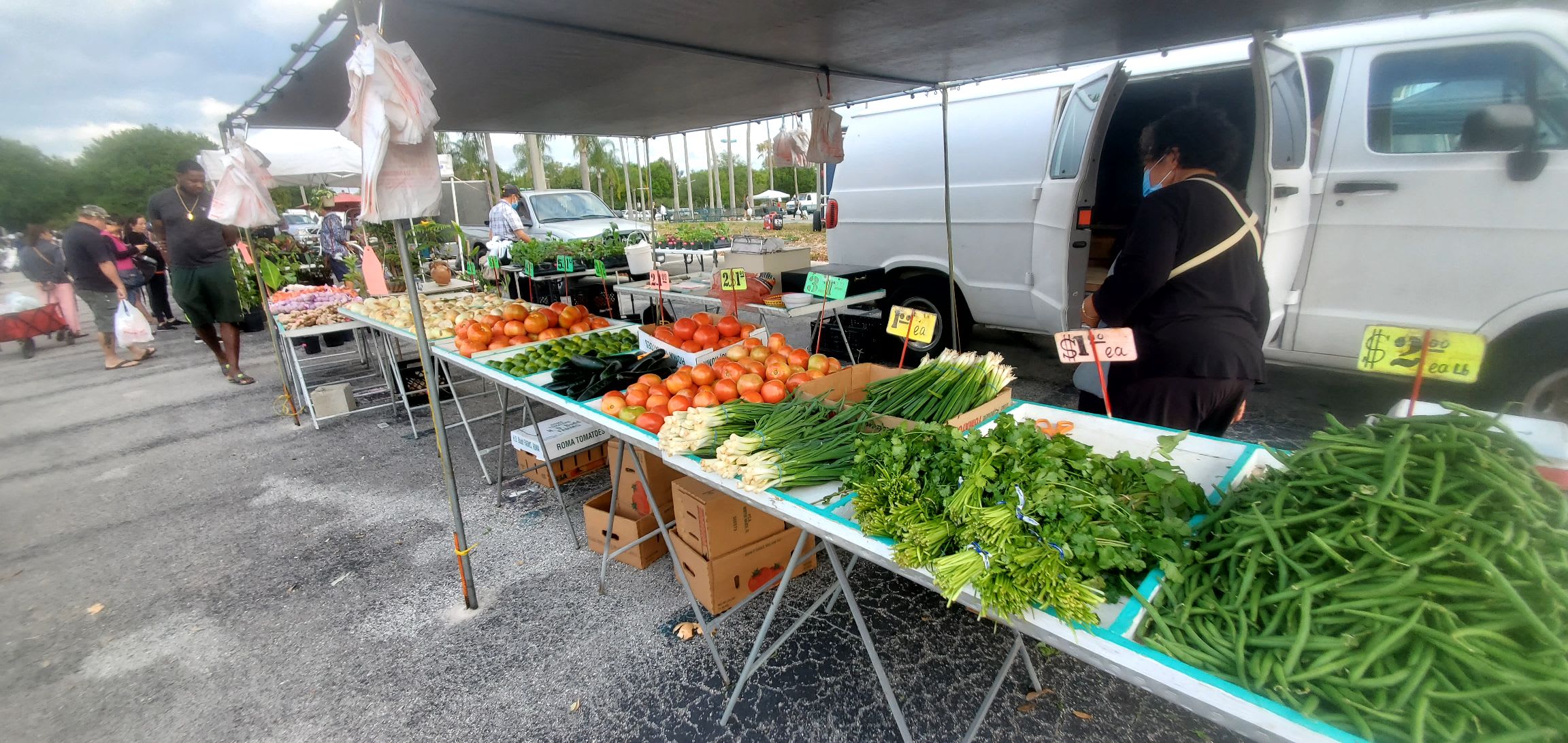 Pinellas Farmers and Flea Market