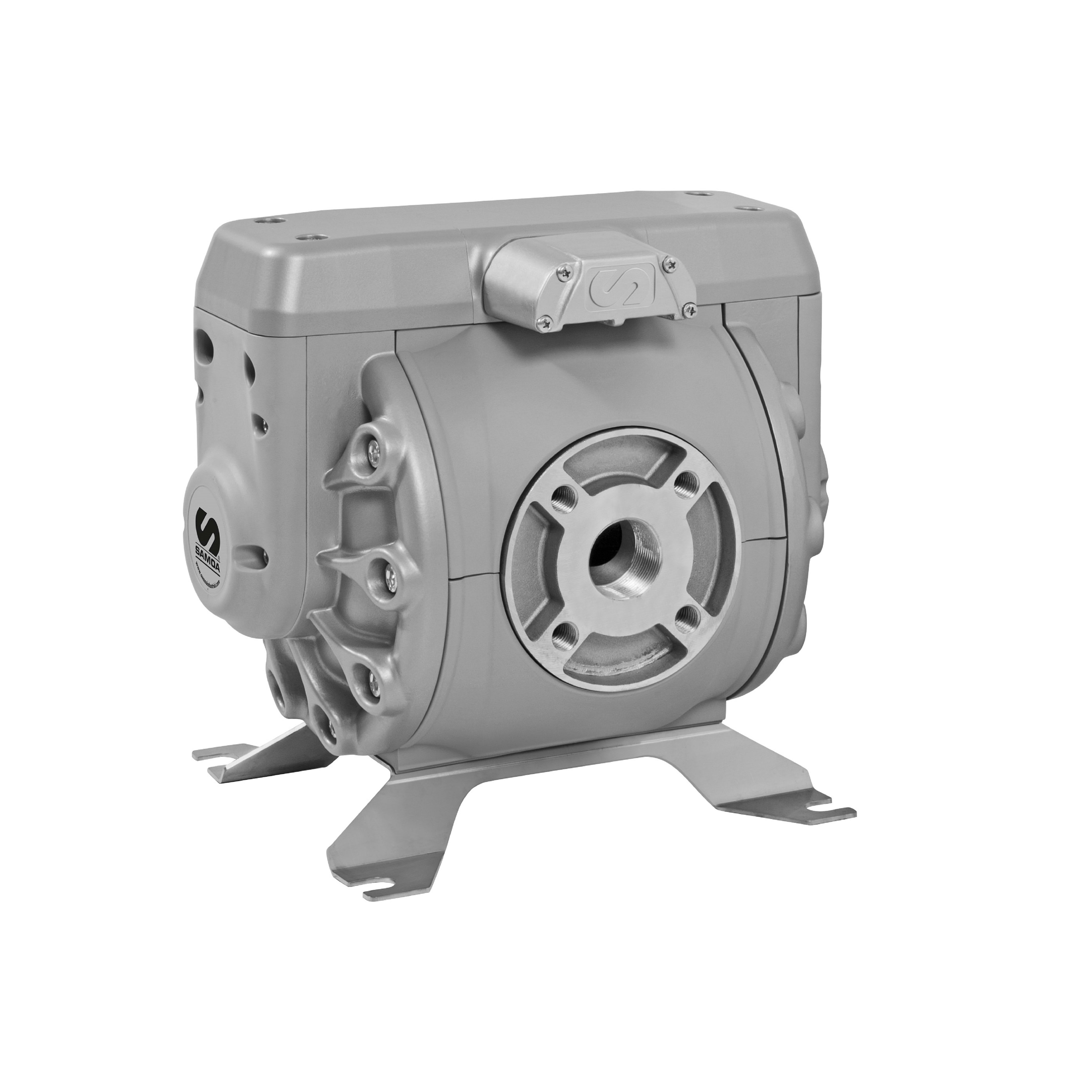 DF250 1.5" Metallic AODD Pumps 300 LPM Air Operated Double