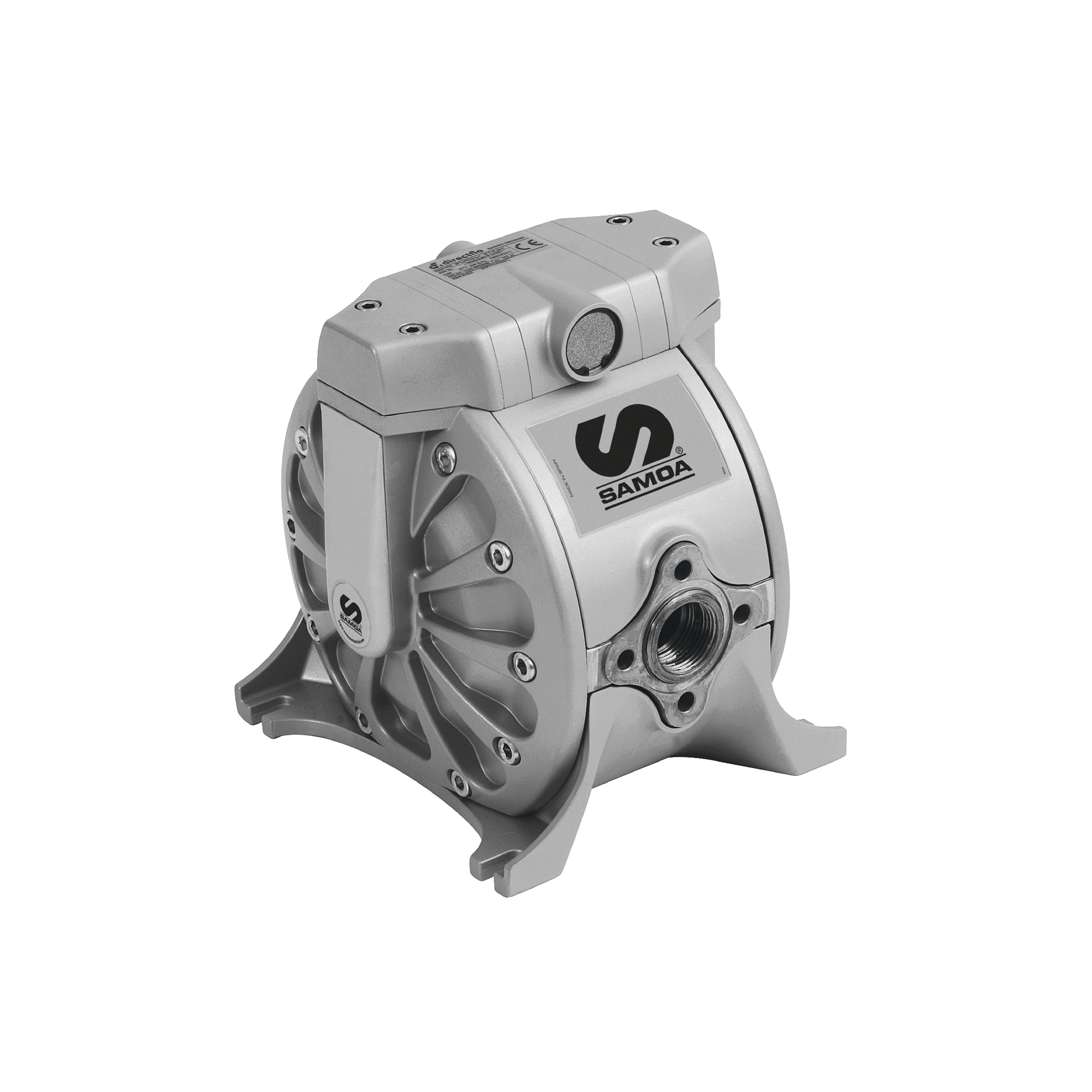 DF100 3/4" Metallic AODD Pumps 100 LPM Air Operated Double