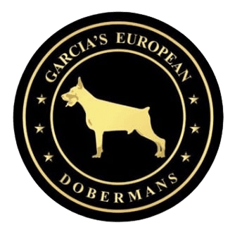 Garcia's European Dobermans