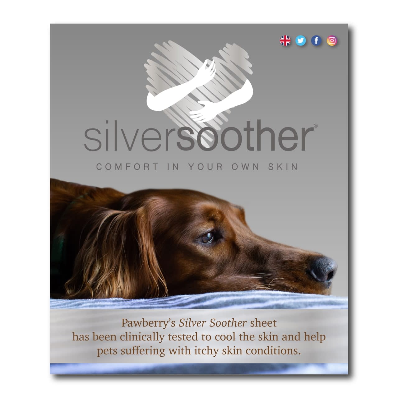 Silver Soother Pet Sheet Silver Soother Range Designer Dog Wear