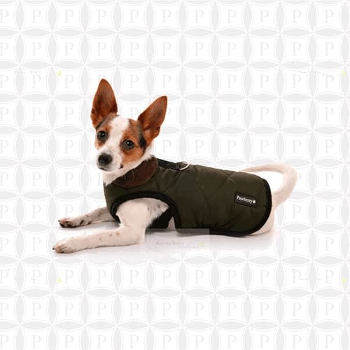 Llbean deals dog coat