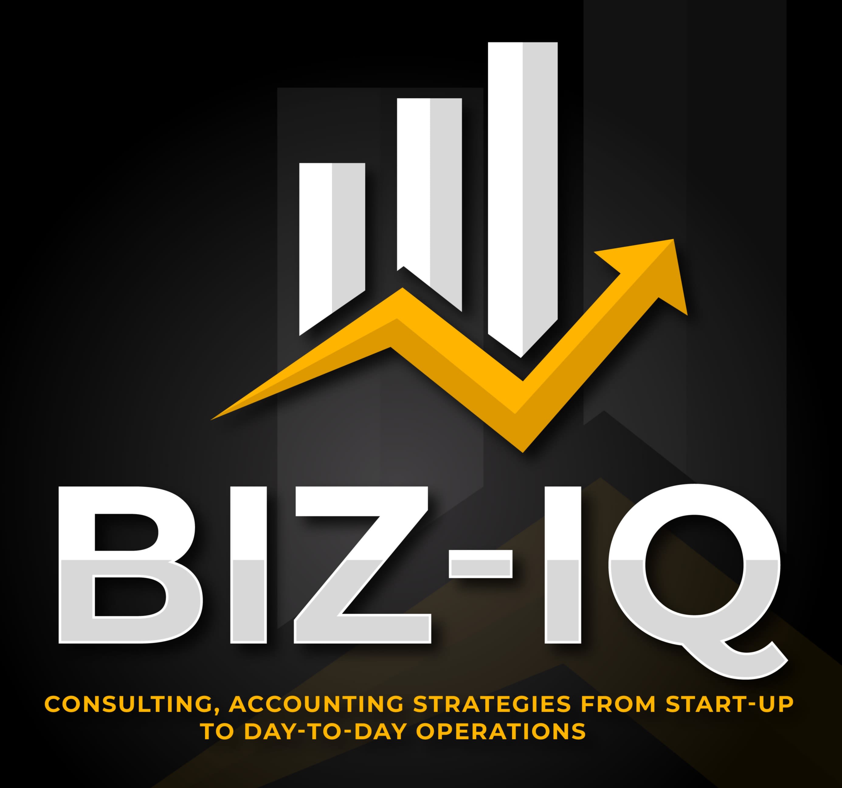 Biz-iQ LLC