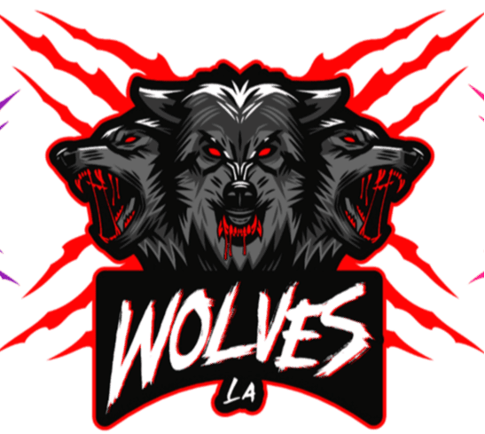 LA Wolves Youth Organization INC