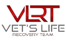 Vet's Life Recovery Team