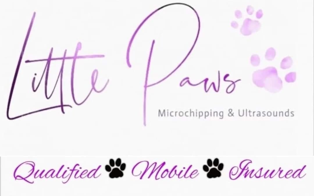Little Paws Microchipping & Ultrasounds