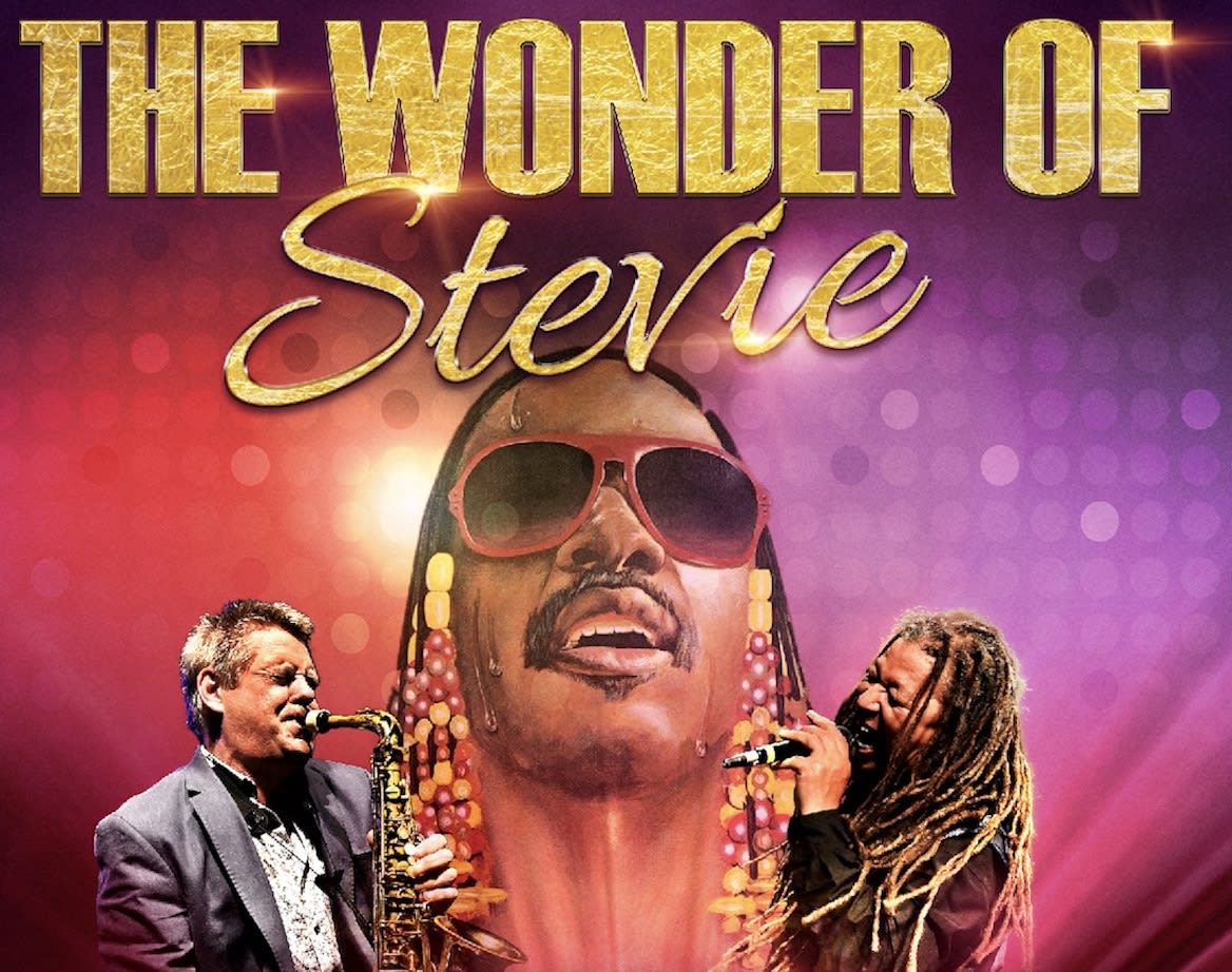 News The Wonder of Stevie Theatre Tour Autumn 23 Some Kinda