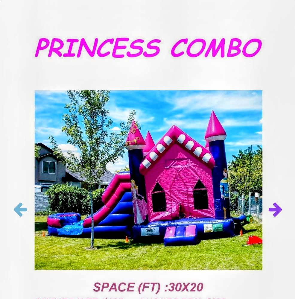 Princess Combo Wet/Dry Bounce Houses Okie Dokie Bounce Houses LLC Winnemucca Bouncy Houses