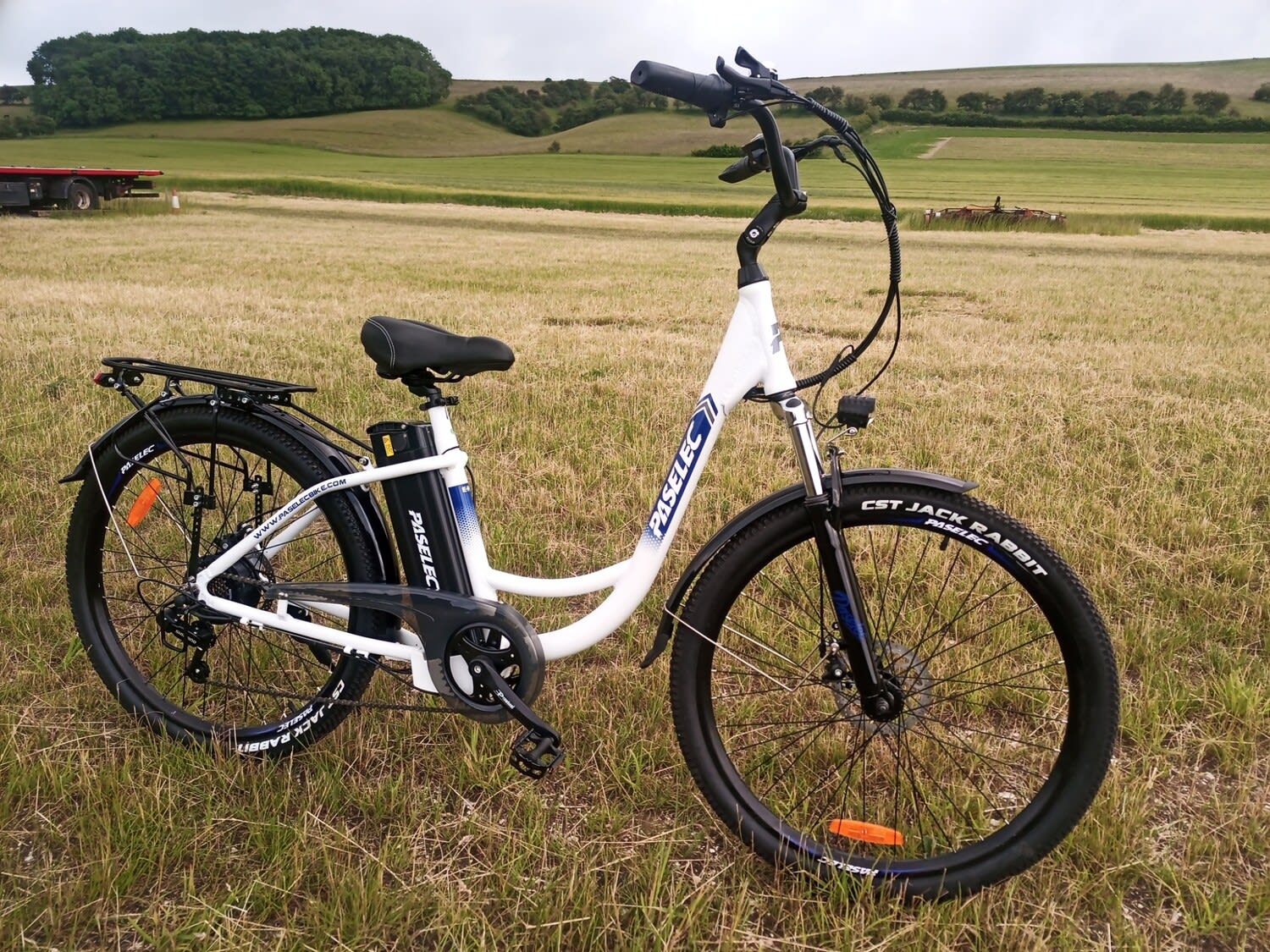 Paselec ebike online