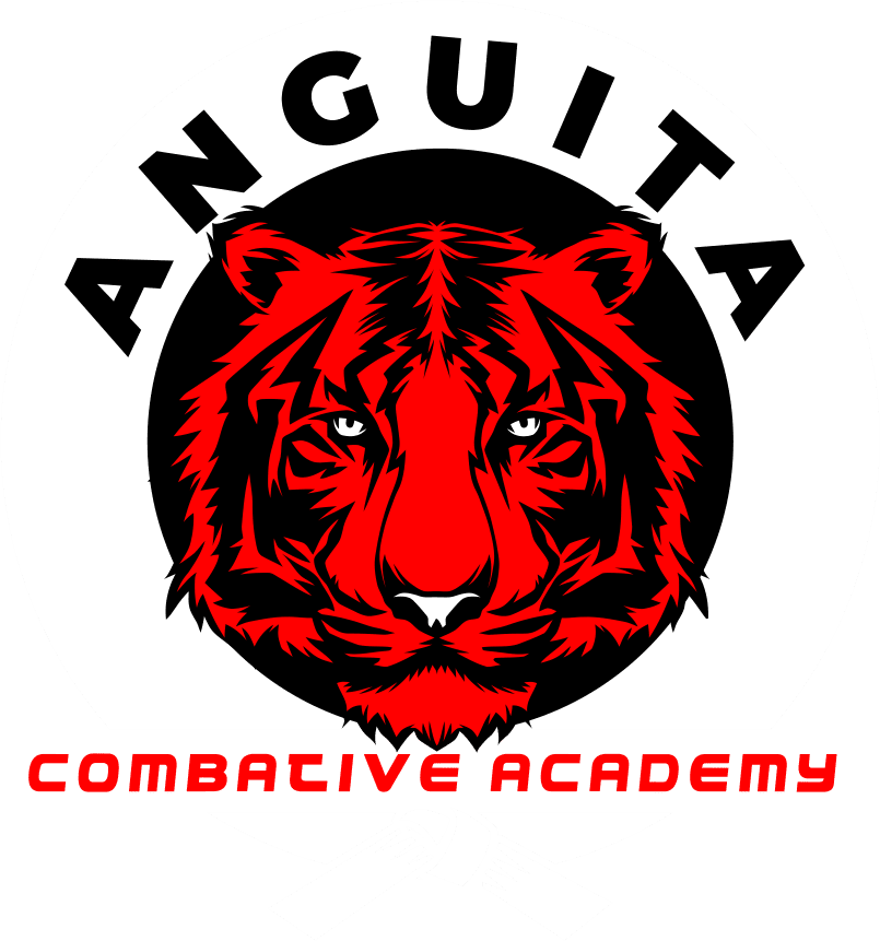 Anguita Combative Academy