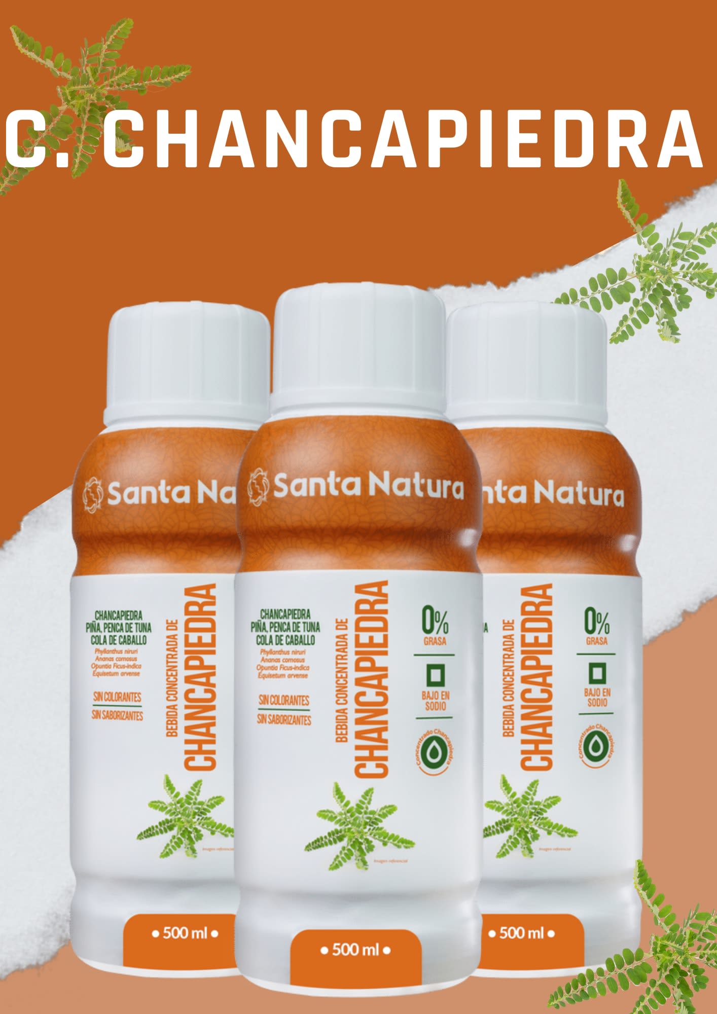 CHANCAPIEDRA - Productos naturales - CDR Santa Natura San Juan de  Lurigancho | Lima