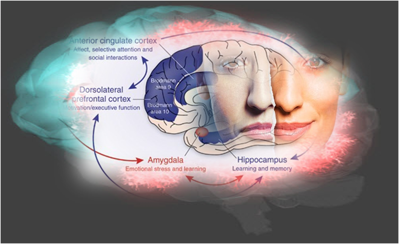 Mood Disorders - Conditions We Treat - VCAT Treatment Center LLC ...