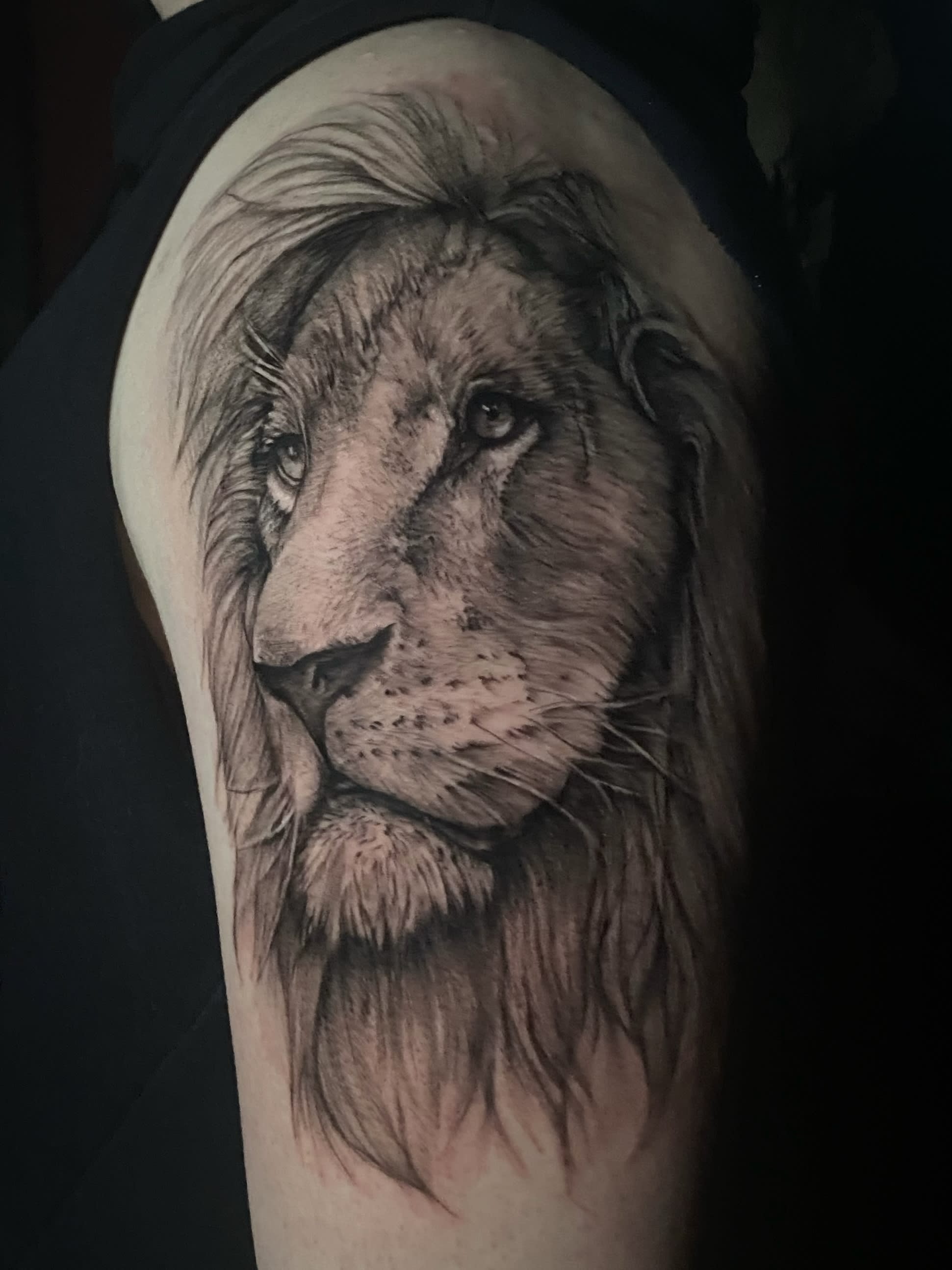 Tattoo Lion Shoulder Top 9 Videos & 82 Images