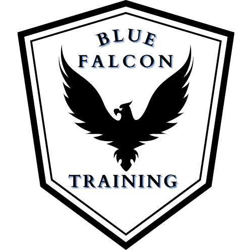 Blue Falcon LLC