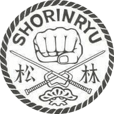 Terry Maccarrone Karate USA Long Island