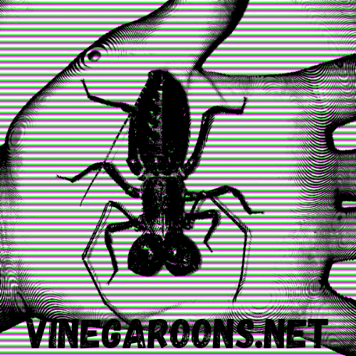 Vinegaroons Dot Net