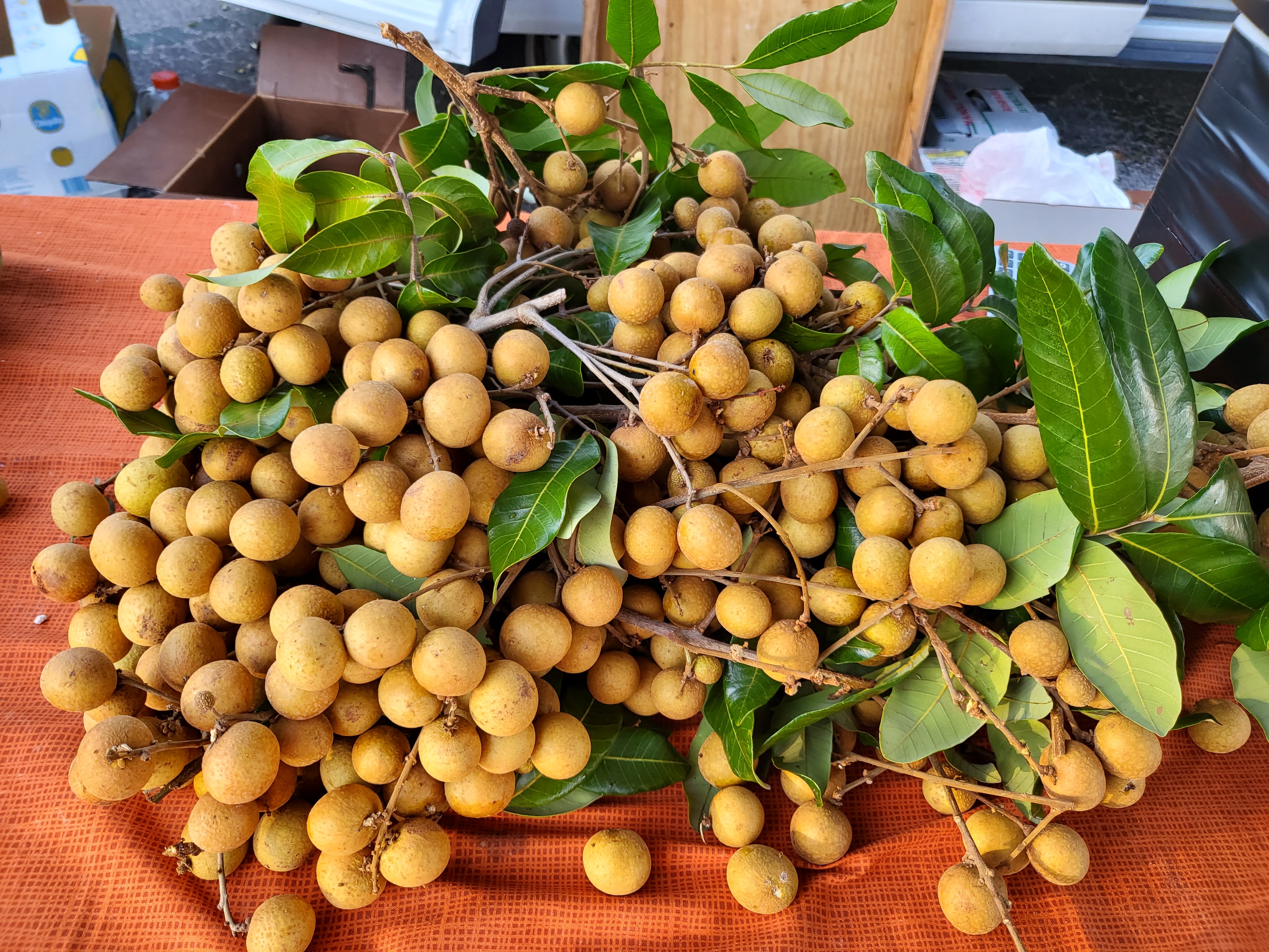 Farmer's Market Come Along Pinellas Farmers and Flea Market