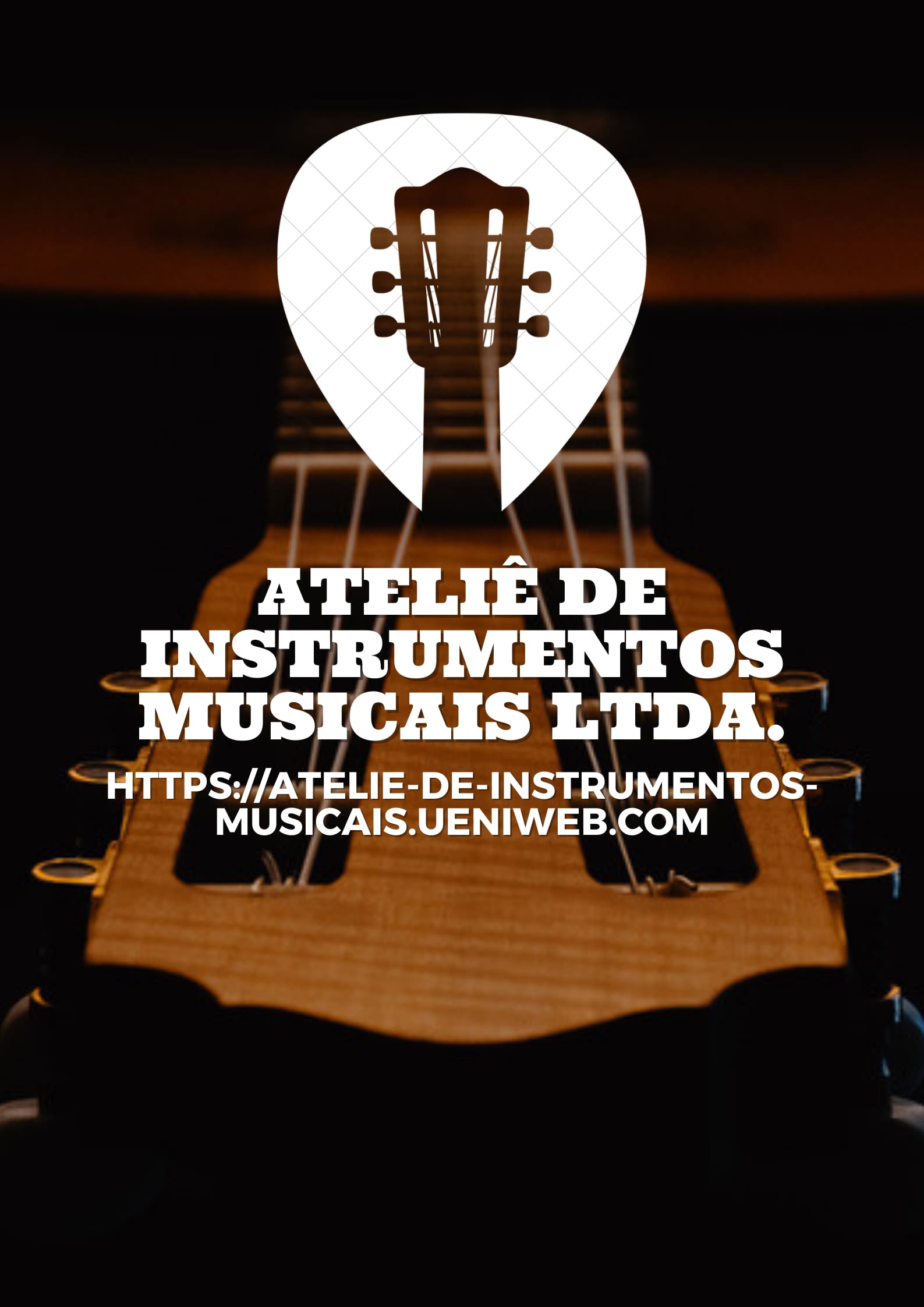 Ateliê de Instrumentos Musicais Ltda.