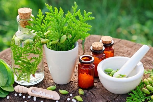 Botanical Medicine - Main Practices - Institute For Ayurvedic And ...