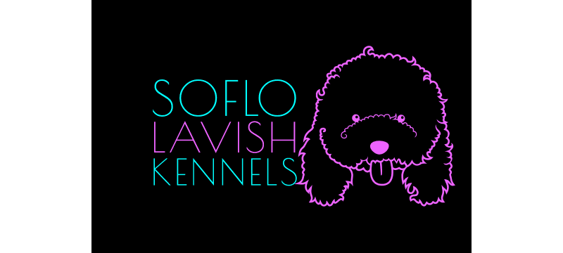 SoFlo Lavish Kennels
